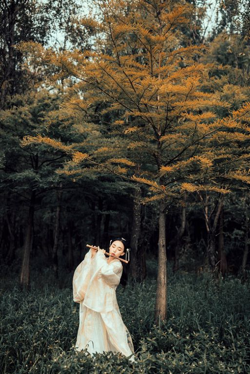 三月,美终会遇见美